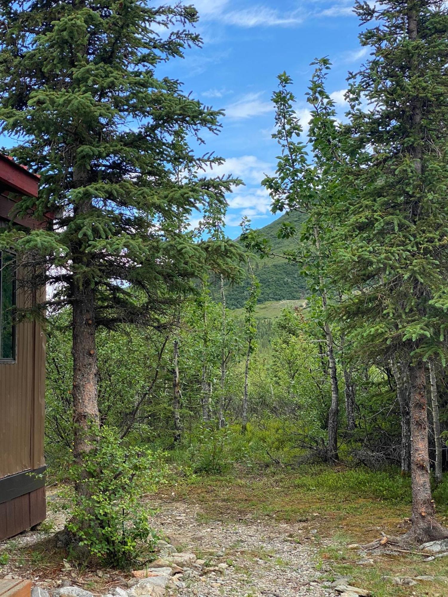 Denali Rv Park & Motel Healy Exteriér fotografie